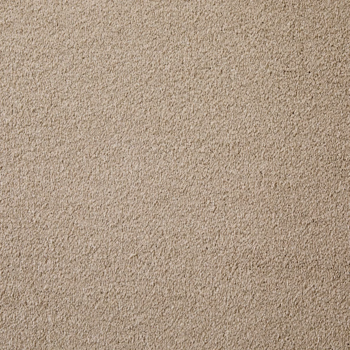 Joy Fawn Carpet