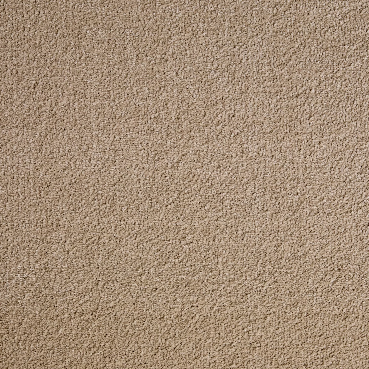 Joy Oat Cake Carpet