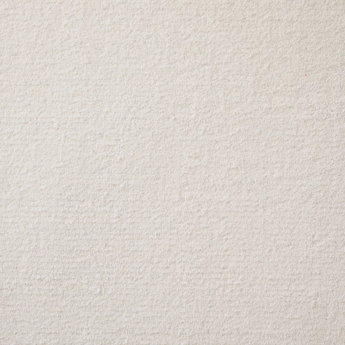 Joy Polar Bear Carpet