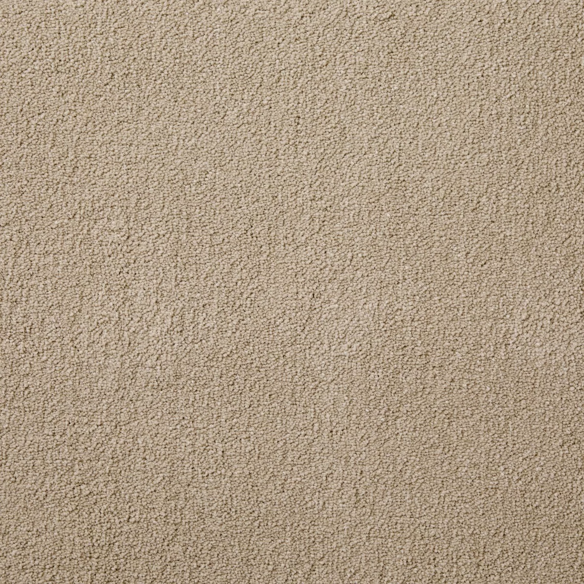 Joy Puma Carpet