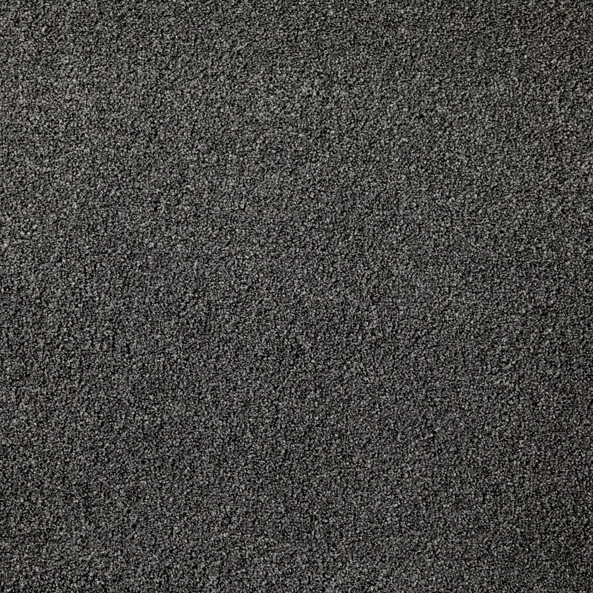 Joy Schnauzer Carpet
