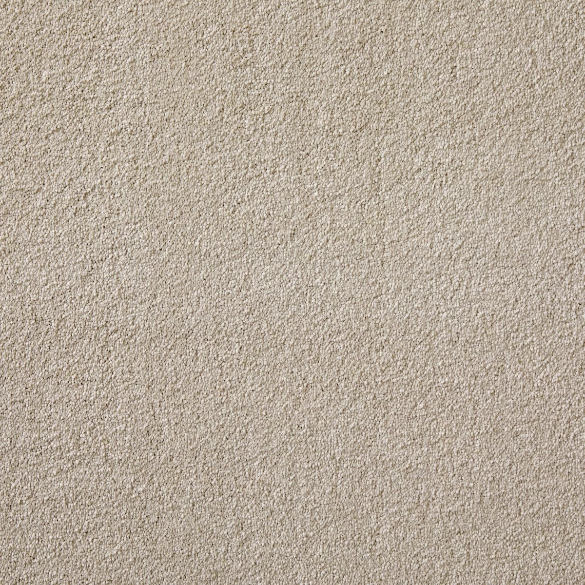 Joy Silver Sand Carpet