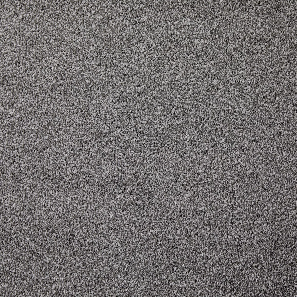 Joy Turtle Dove Carpet