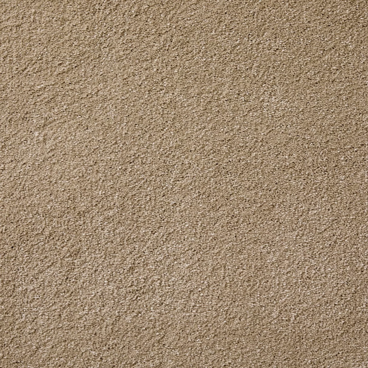 Joy Wheat Sheaf Carpet