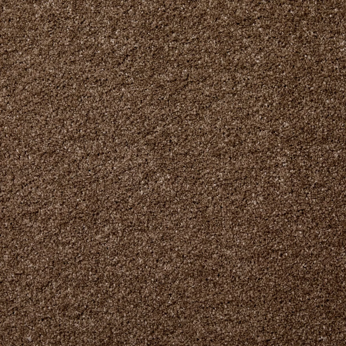 Leo Saxony Camel Carpet