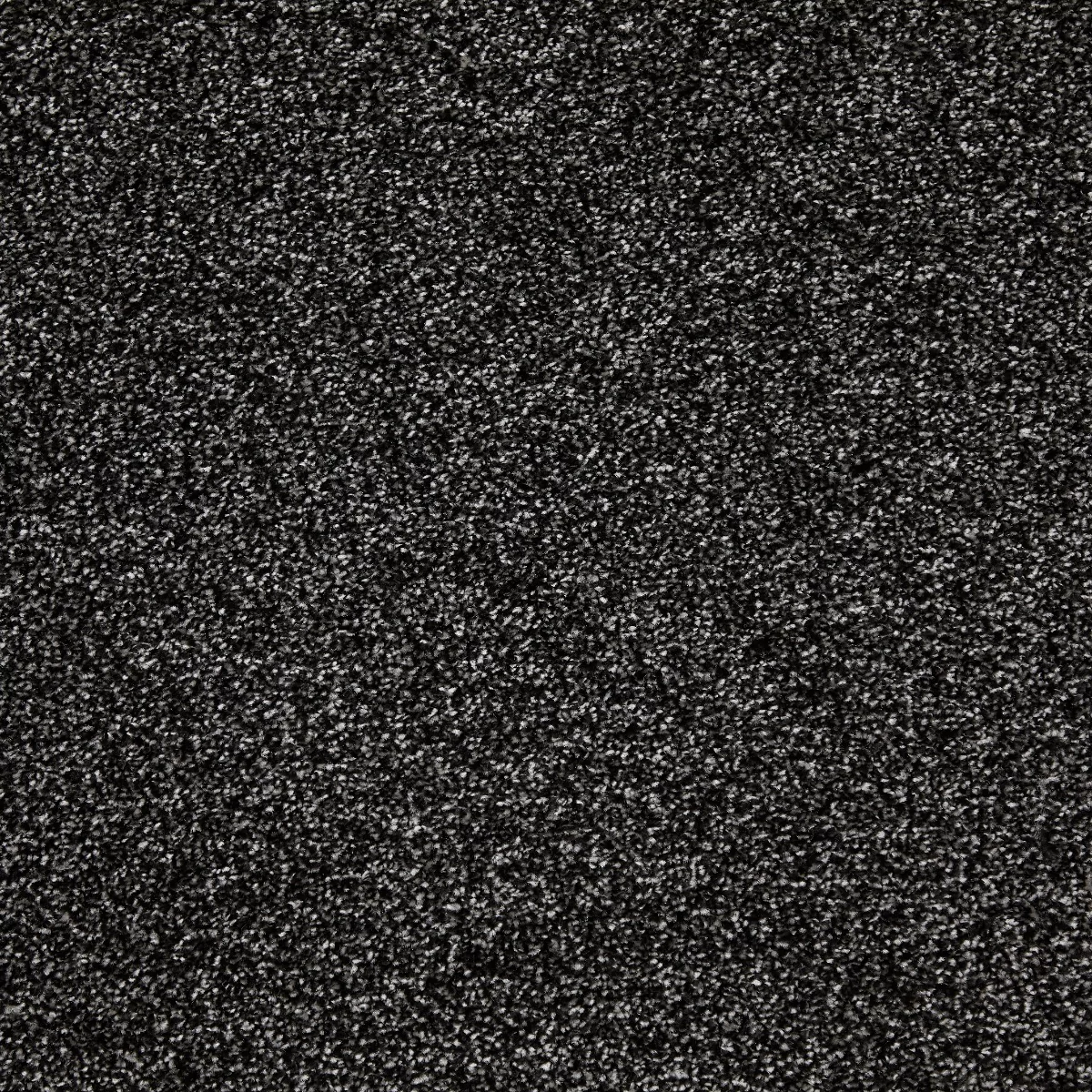 Leo Saxony Charcoal Carpet