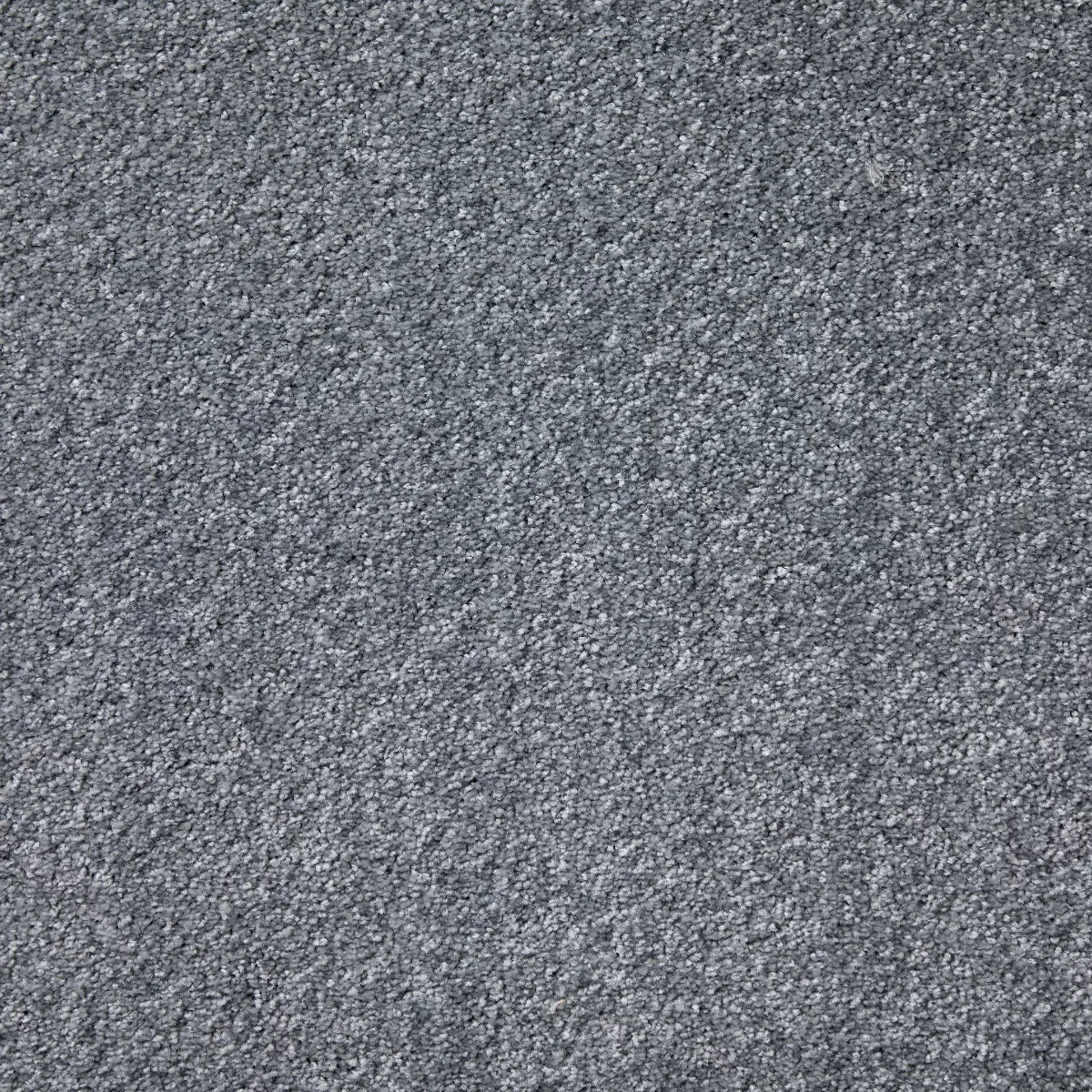Leo Saxony China Carpet