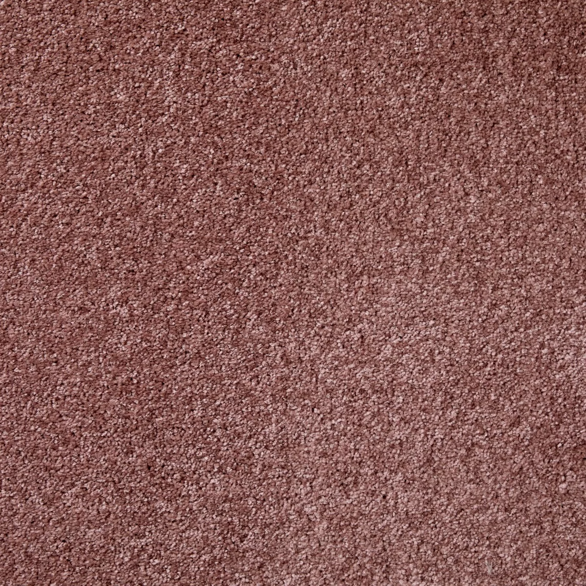Leo Saxony Salmon Carpet