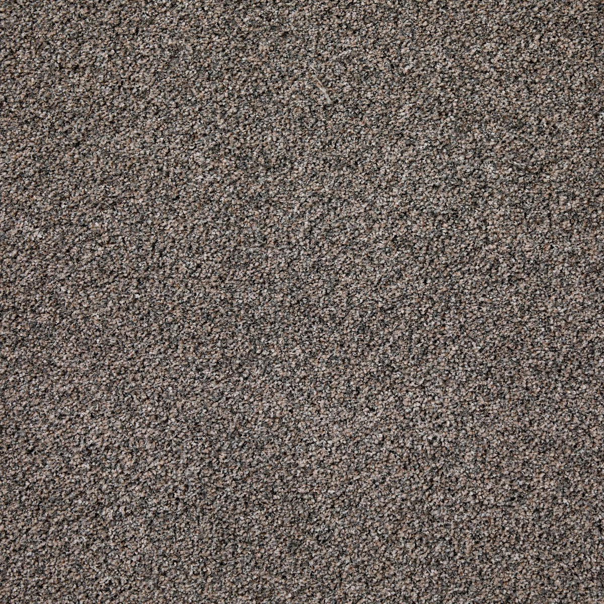 Leo Twist Moonstone Carpet
