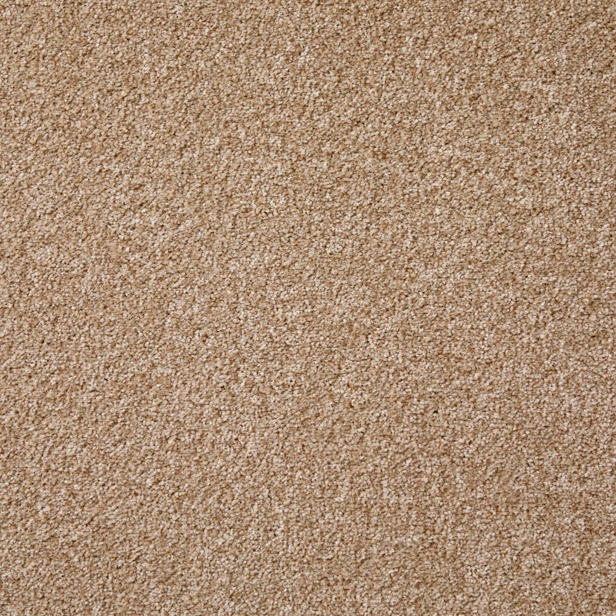 Leo Twist Nut Shell Carpet