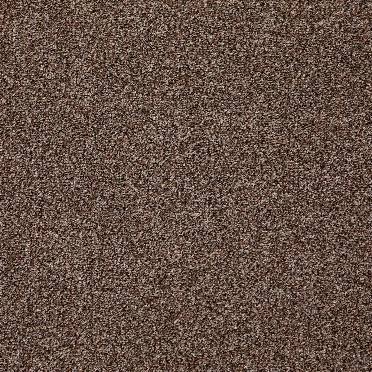 Leo Twist Oreo Carpet