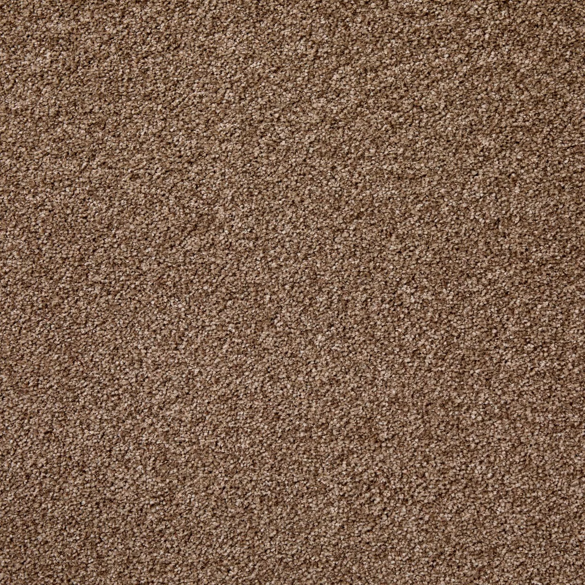 Leo Twist Palm Bark Carpet