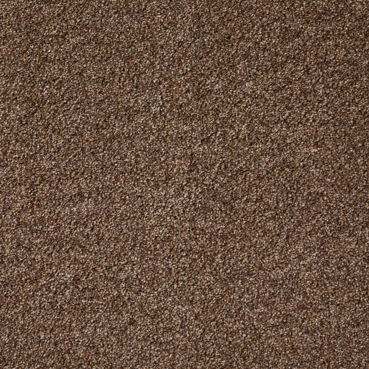 Leo Twist Sedona Carpet