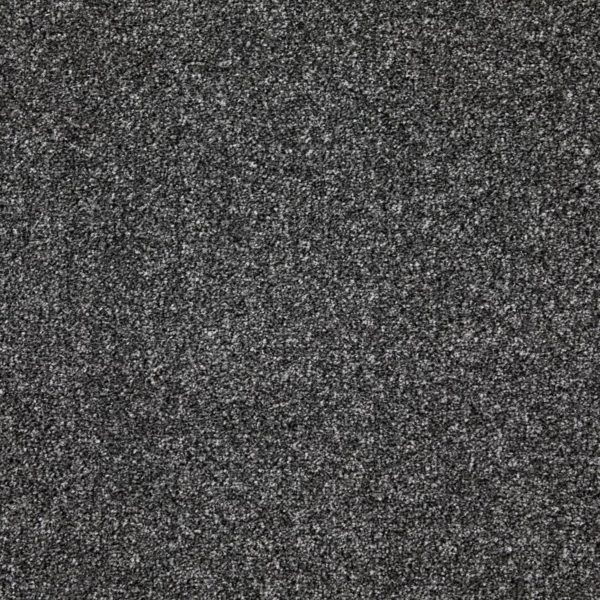 Leo Twist Tungsten Carpet