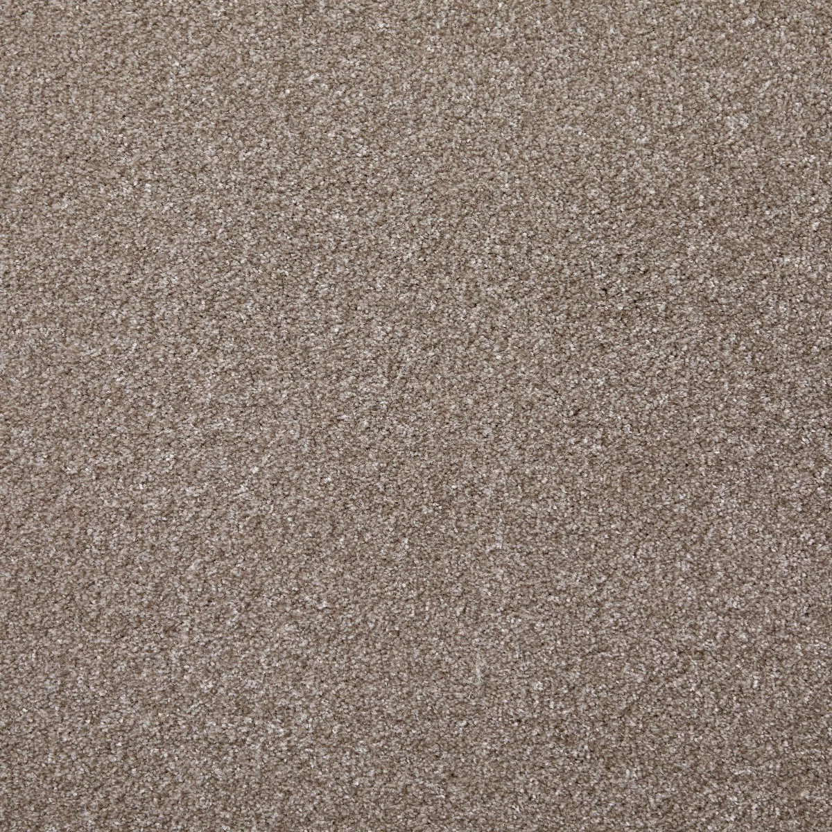 Saxonia Driftwood Carpet