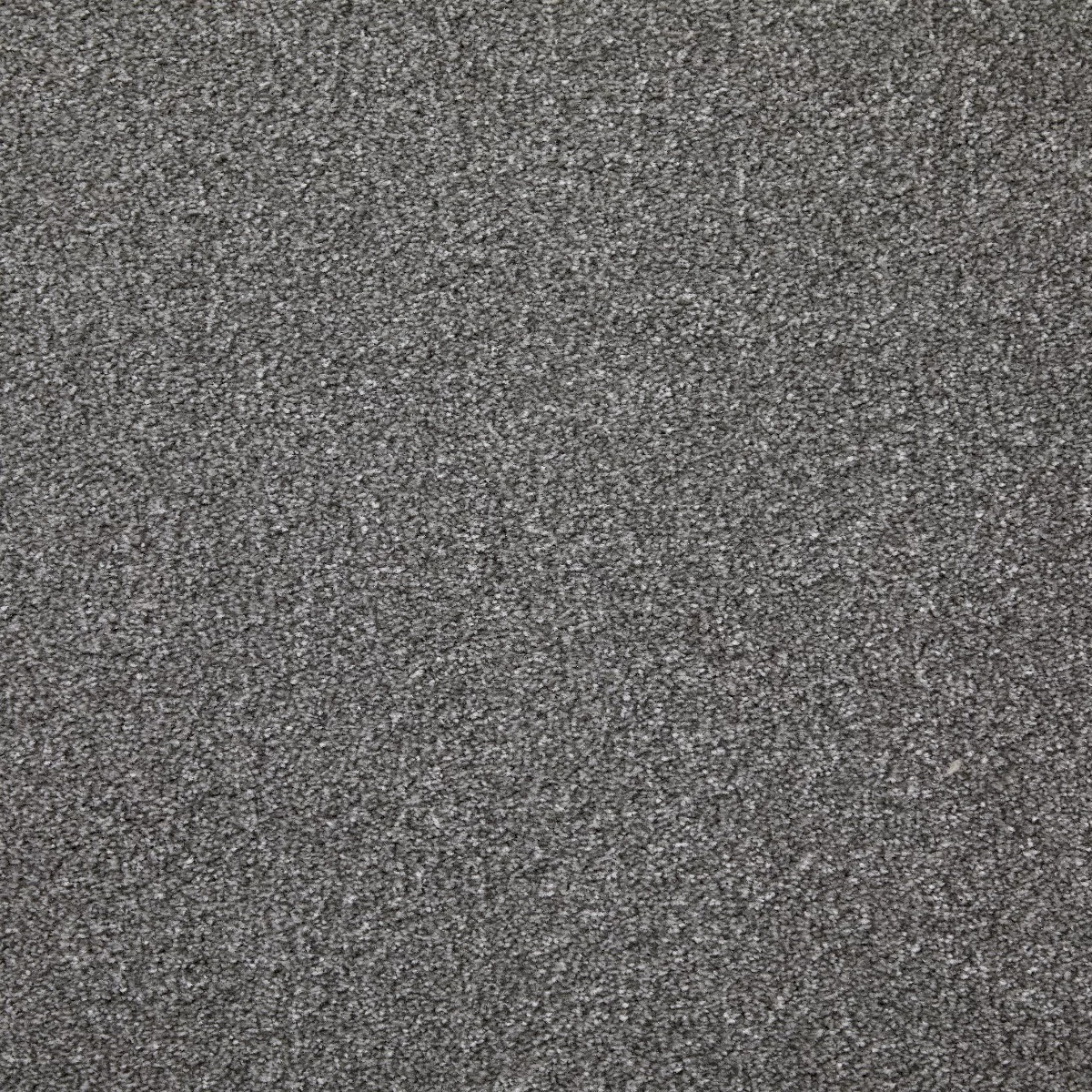 Saxonia Fog Carpet