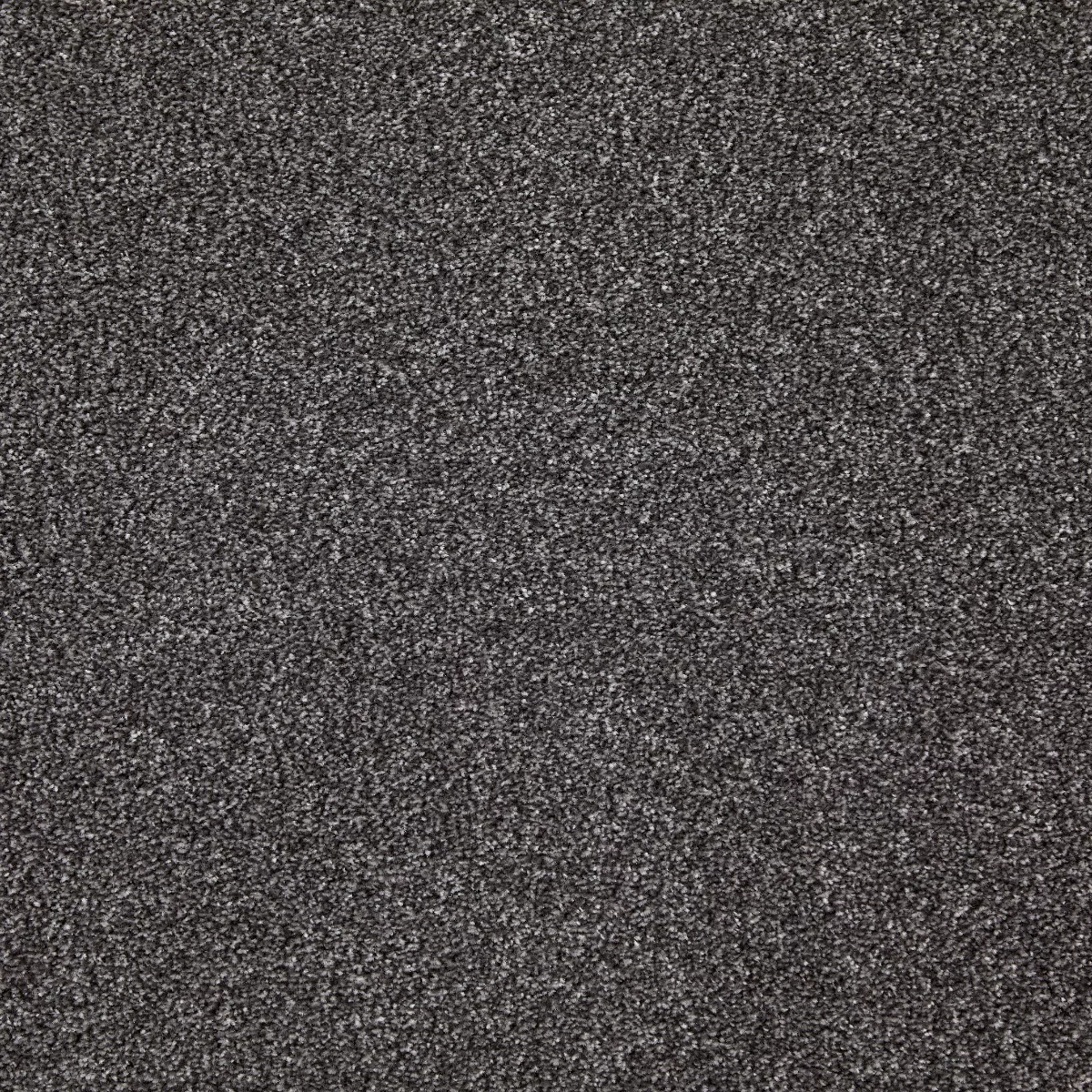 Saxonia Graphite Carpet