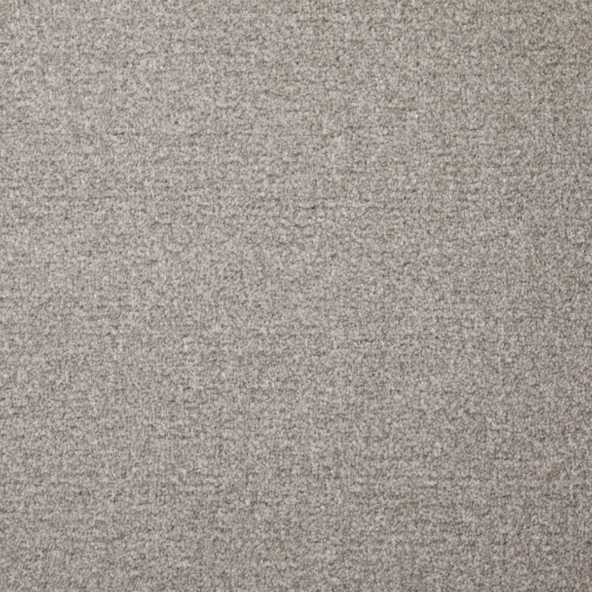 Saxonia Mushroom Carpet
