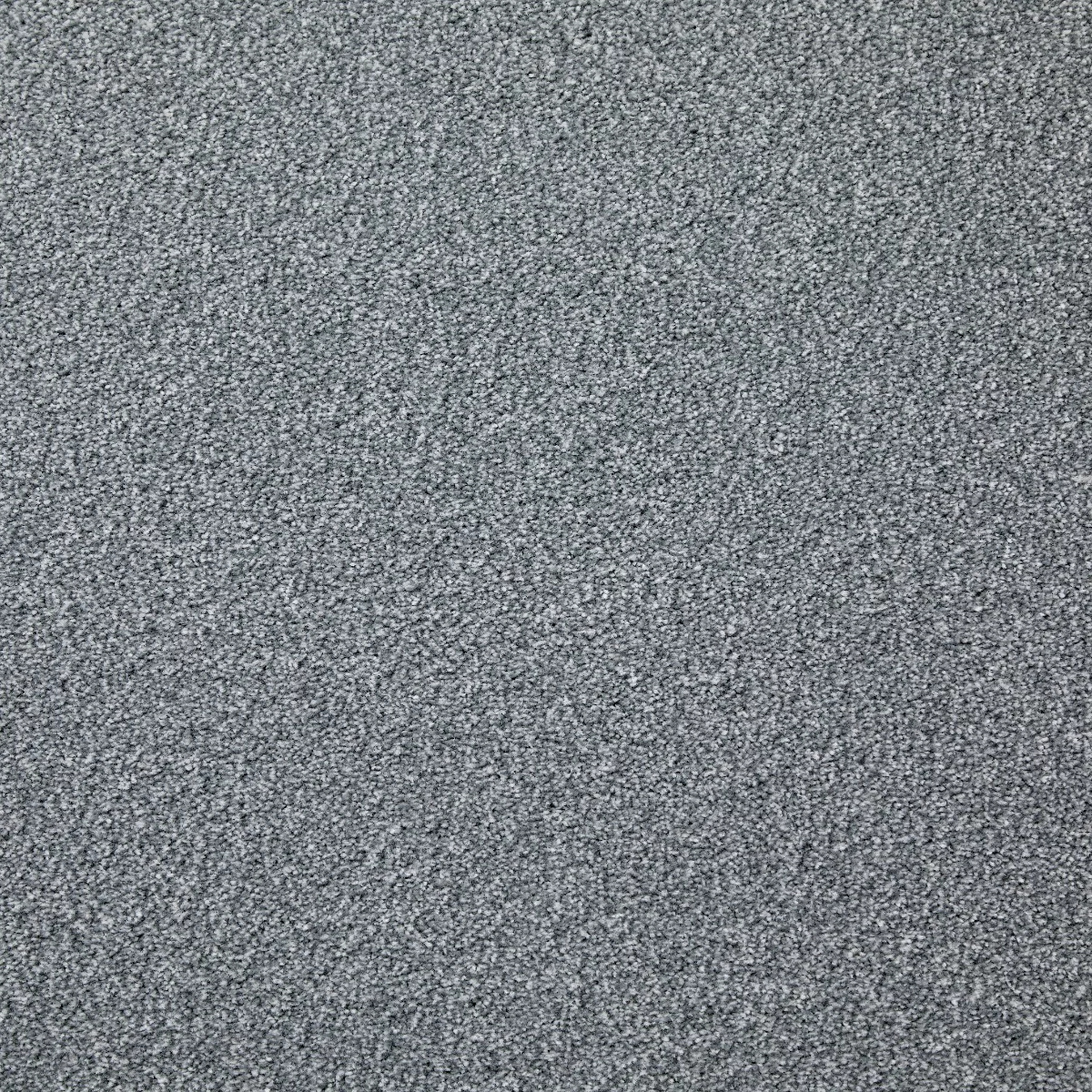 Saxonia Oasis Carpet