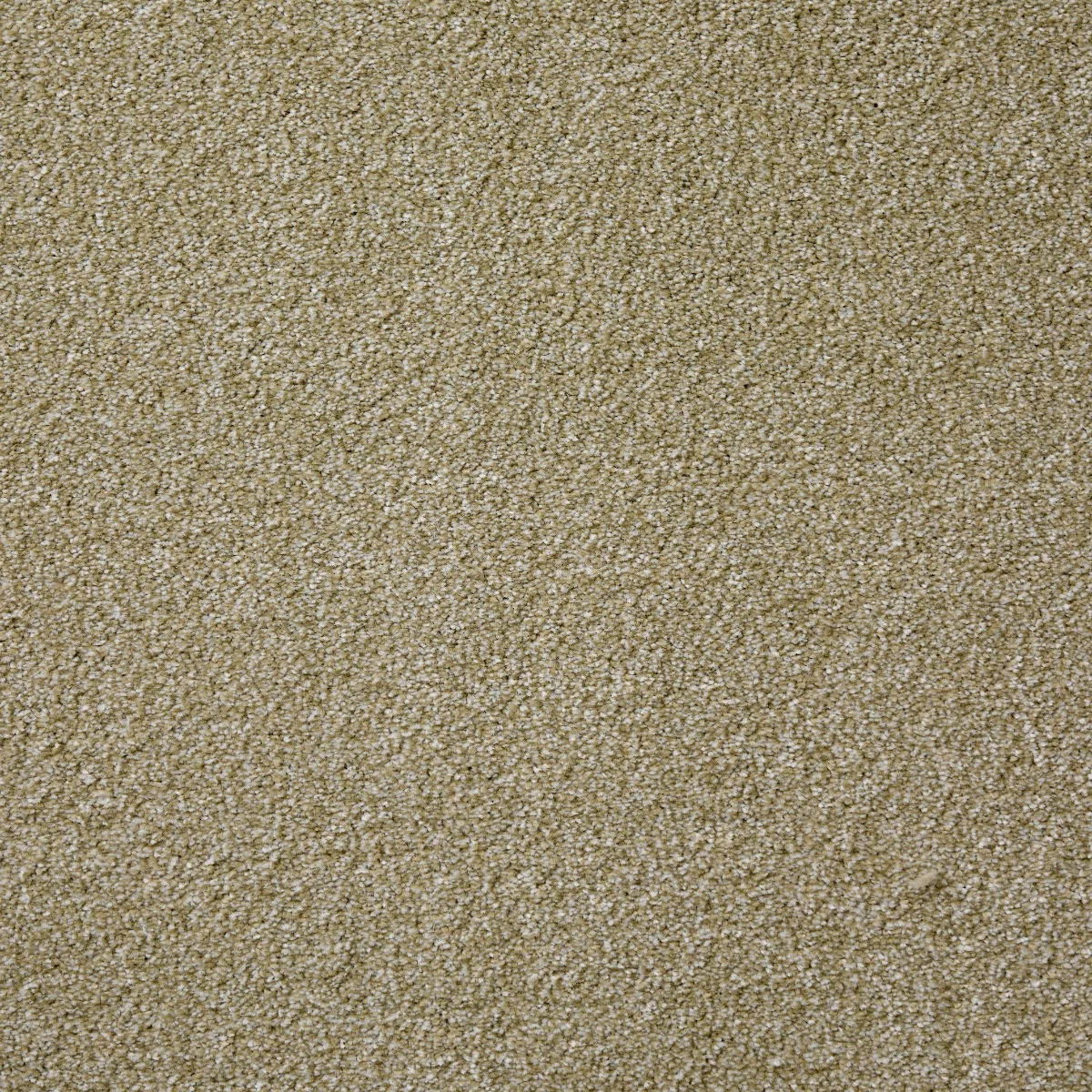 Saxonia Pistachio Carpet