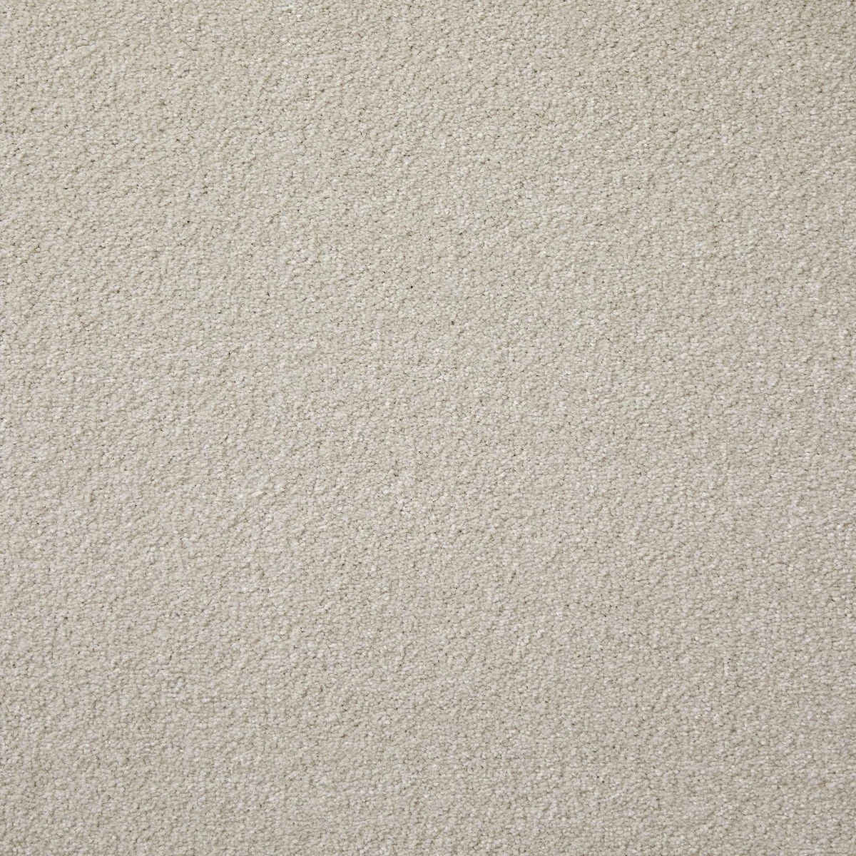 Saxonia Putty Carpet