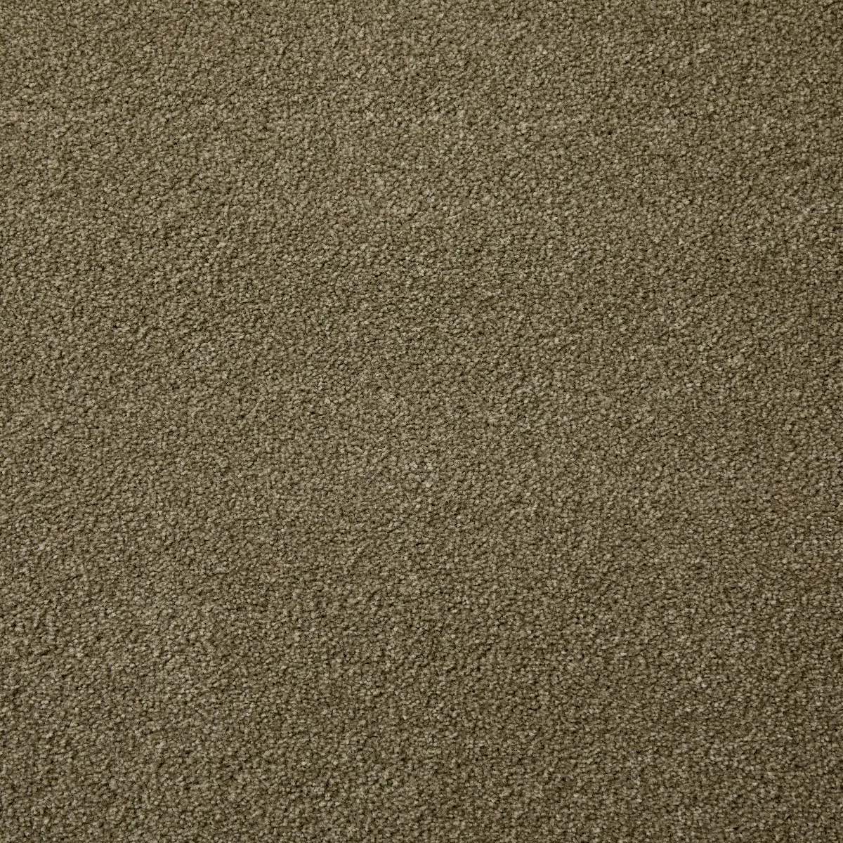 Saxonia Sage Carpet