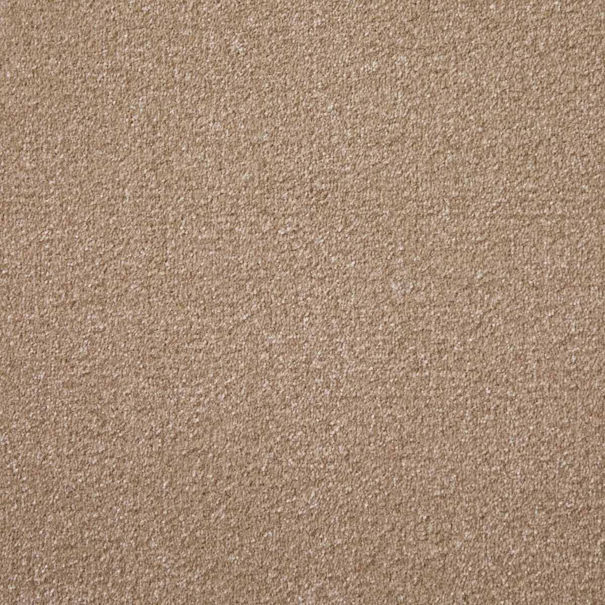Saxonia Wheat Carpet