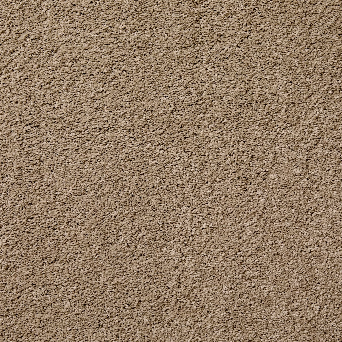 Splendour Acorn Carpet