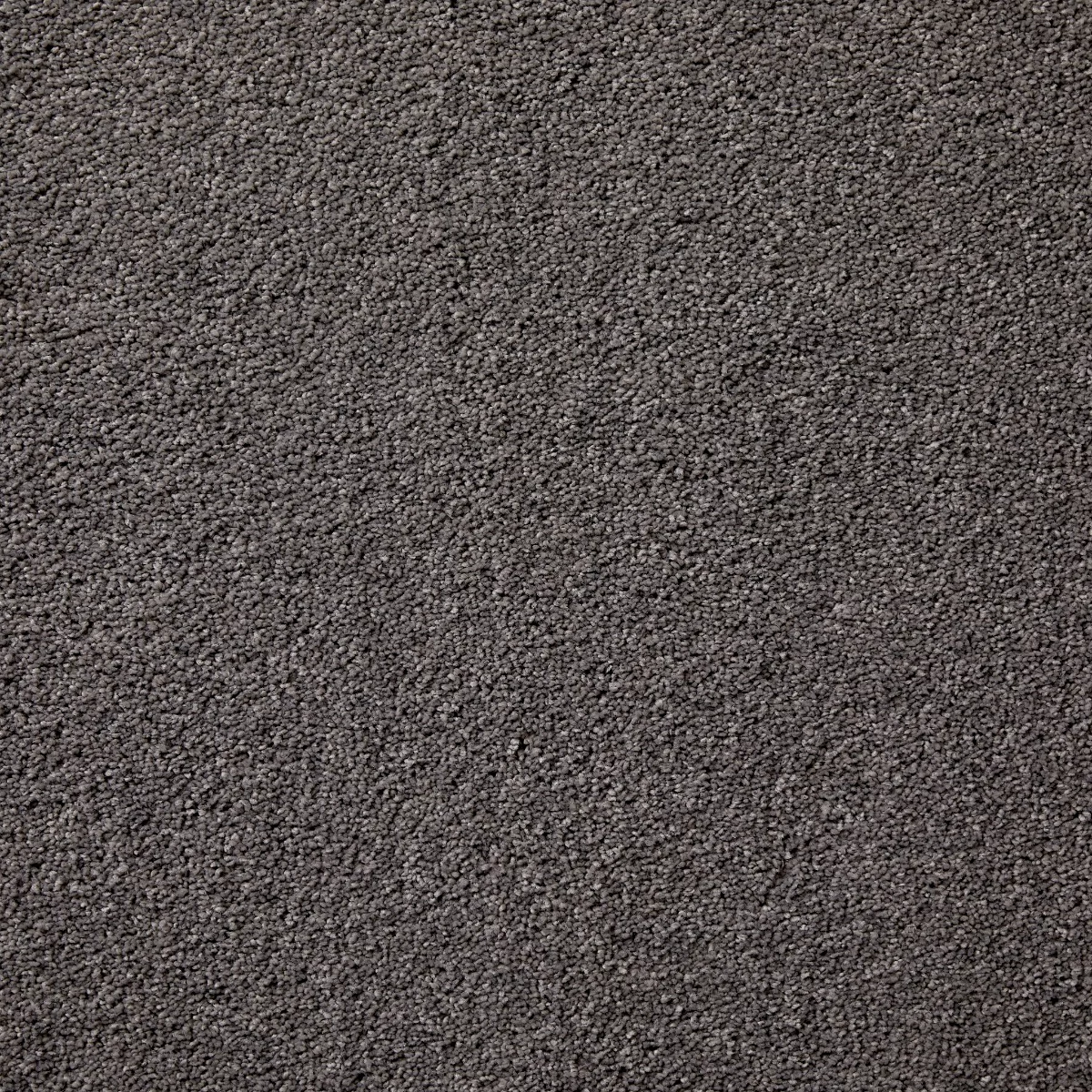 Splendour Dove Carpet