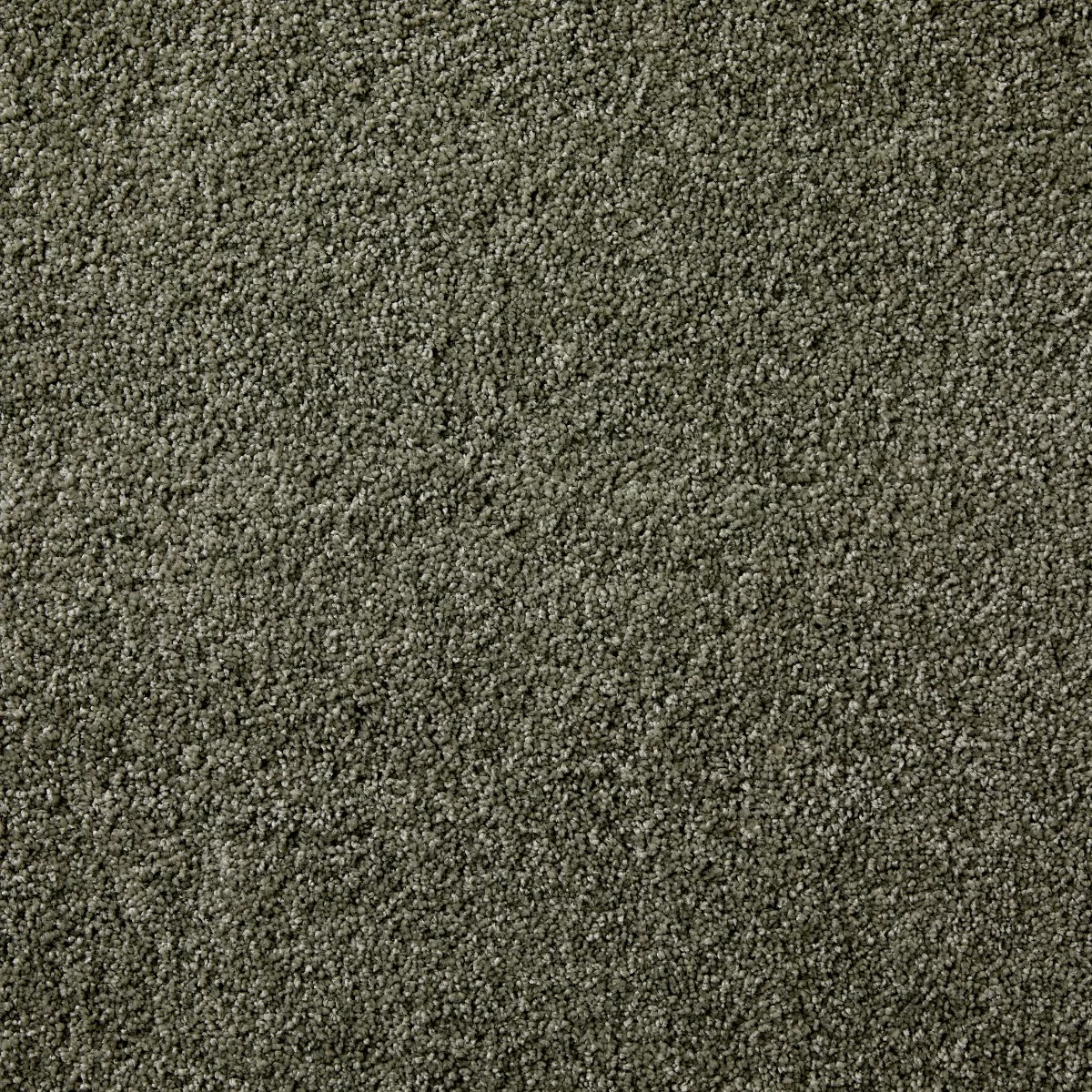 Splendour Fern Carpet