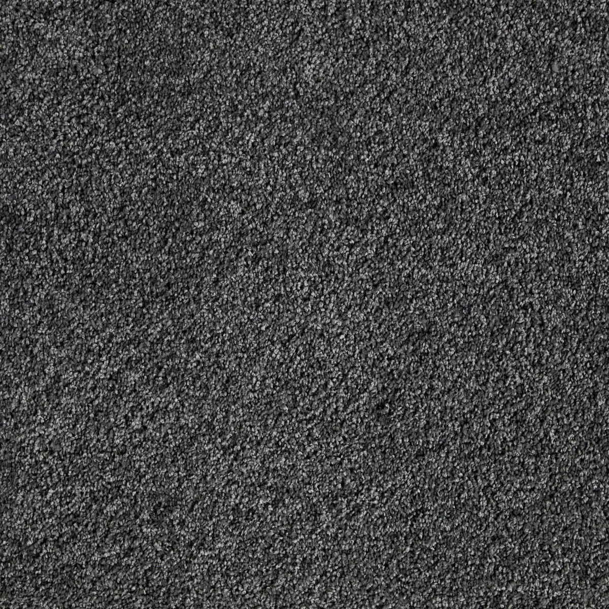 Splendour Lead Carpet