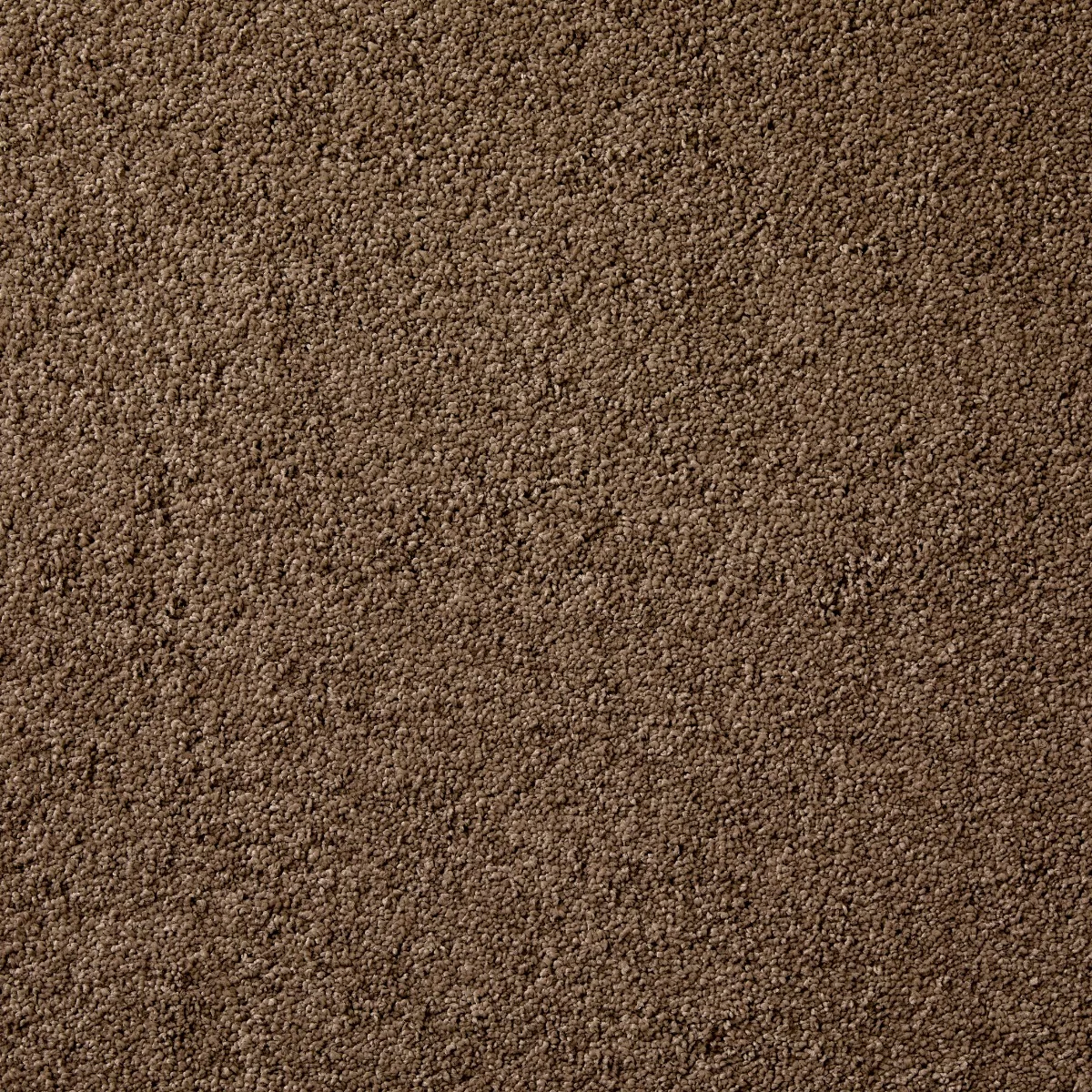 Splendour Mocha Carpet