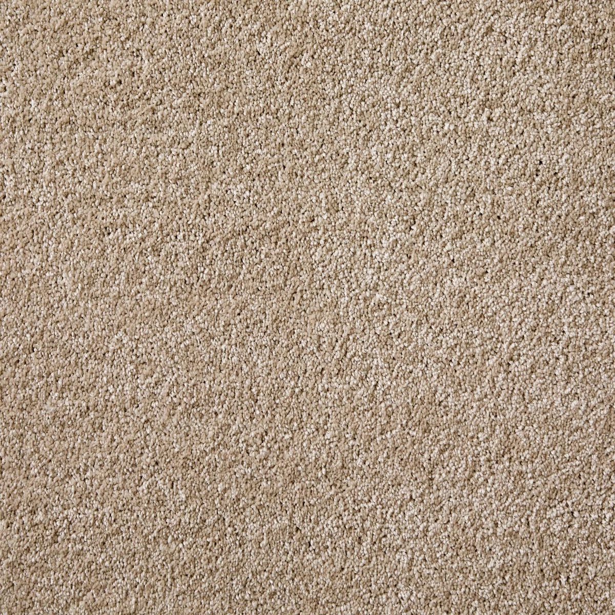 Splendour Sand Carpet