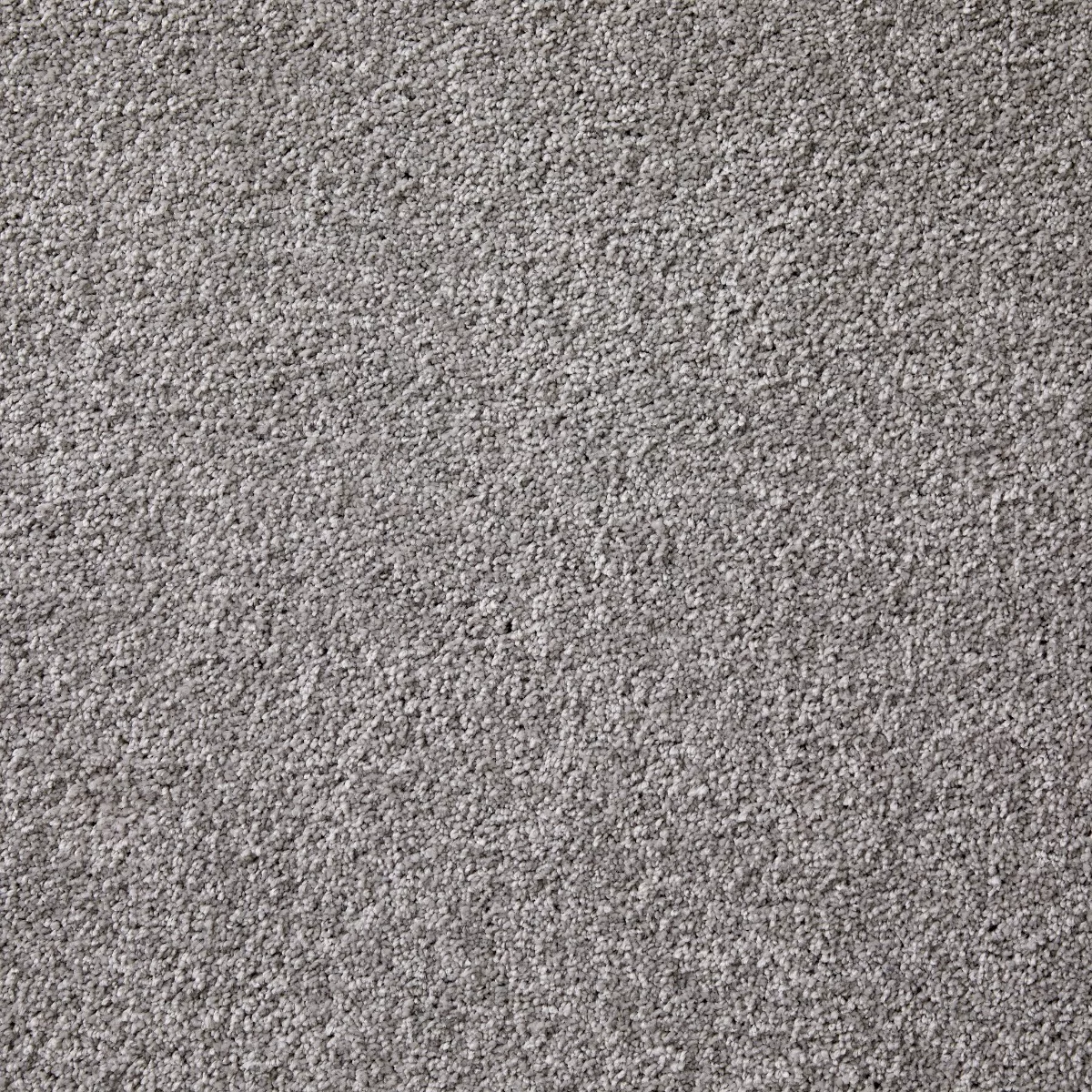 Splendour Silver Carpet