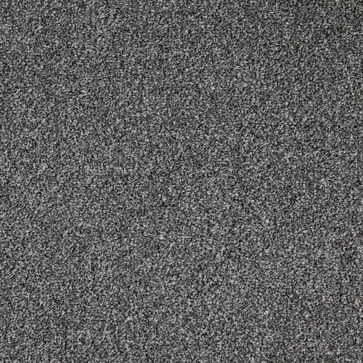 Stockport Winters Carpet
