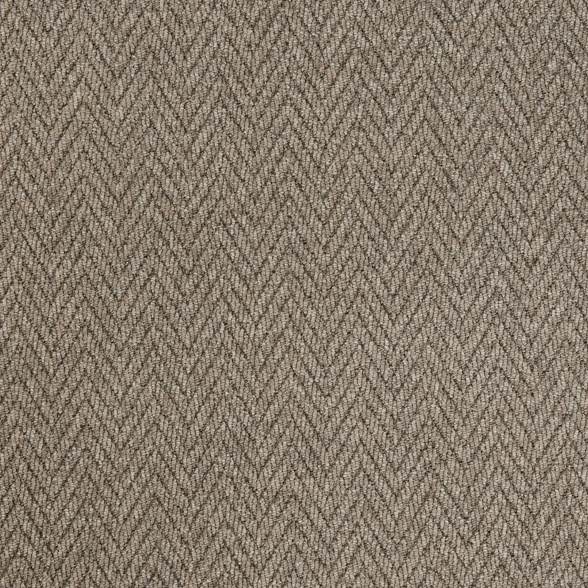 Odin Iverson Chevron Carpet