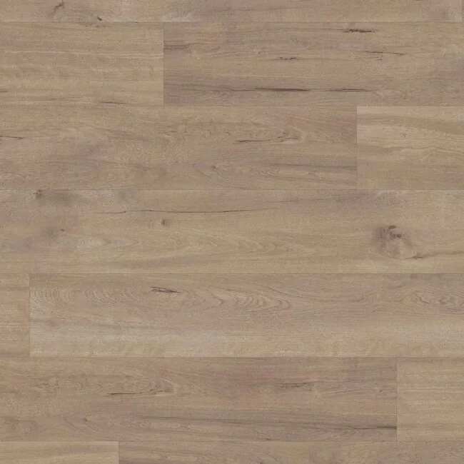 Glue Down Wood Effect Lvt In Medium Shade With Rustic Knots Karndean Van Gogh Frosted Bitch Vgw83T
