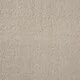 Joy Silver Sand Carpet
