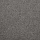 Dominance Grey Scale Carpet