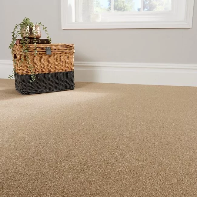 Cosy Saxony Stardust Carpet