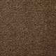 Leo Saxony Camel Carpet