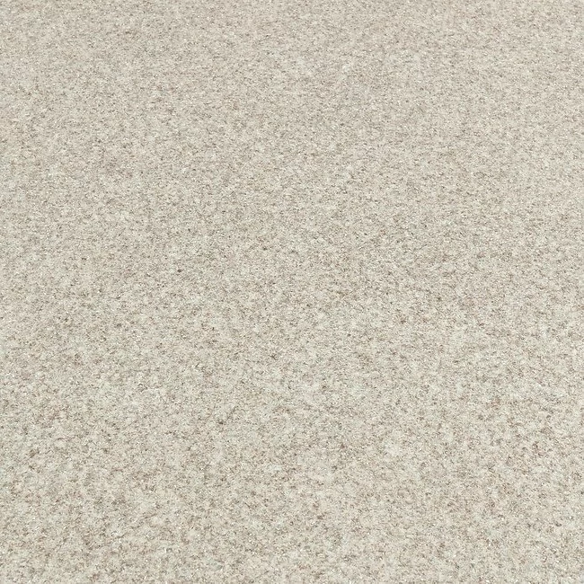 Titan Tread Halley 37 Sheet Vinyl Flooring