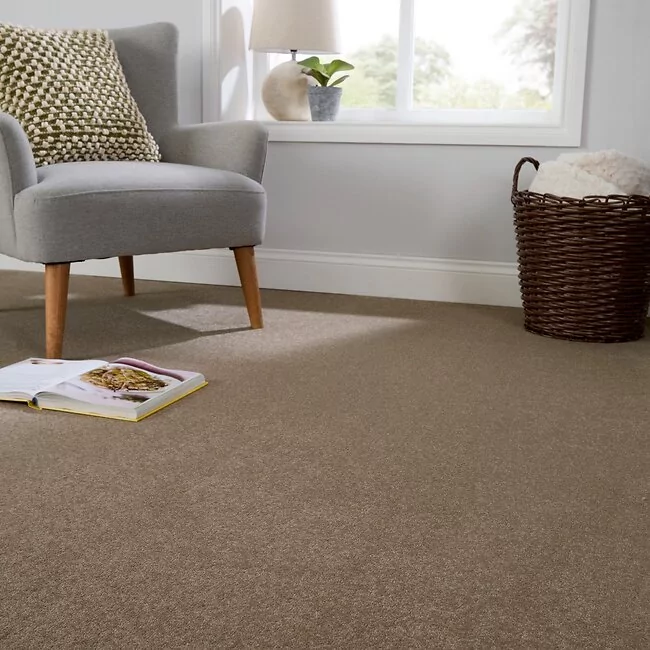 Aspire Stalk Carpet