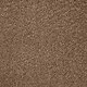 Leo Twist Palm Bark Carpet