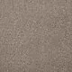 Saxonia Driftwood Carpet