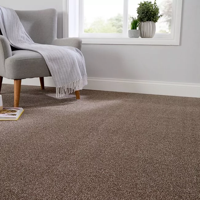 Arctic Twist Eternal Carpet