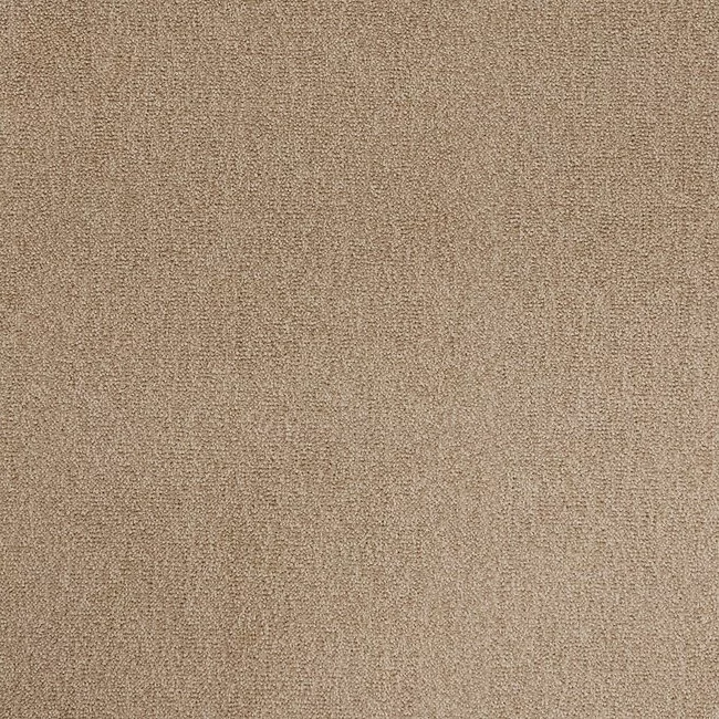 Cosy Saxony Solaris Carpet Sample