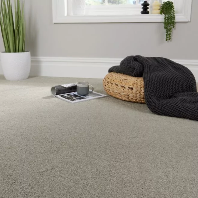 Soft Sense Champagne Beige Luxury Saxony