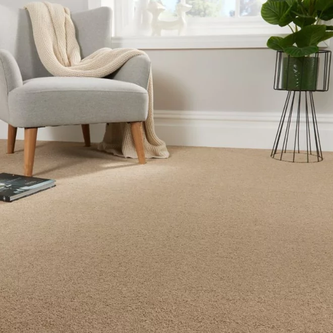 Soft Sense Like a Beach Luxury Saxony