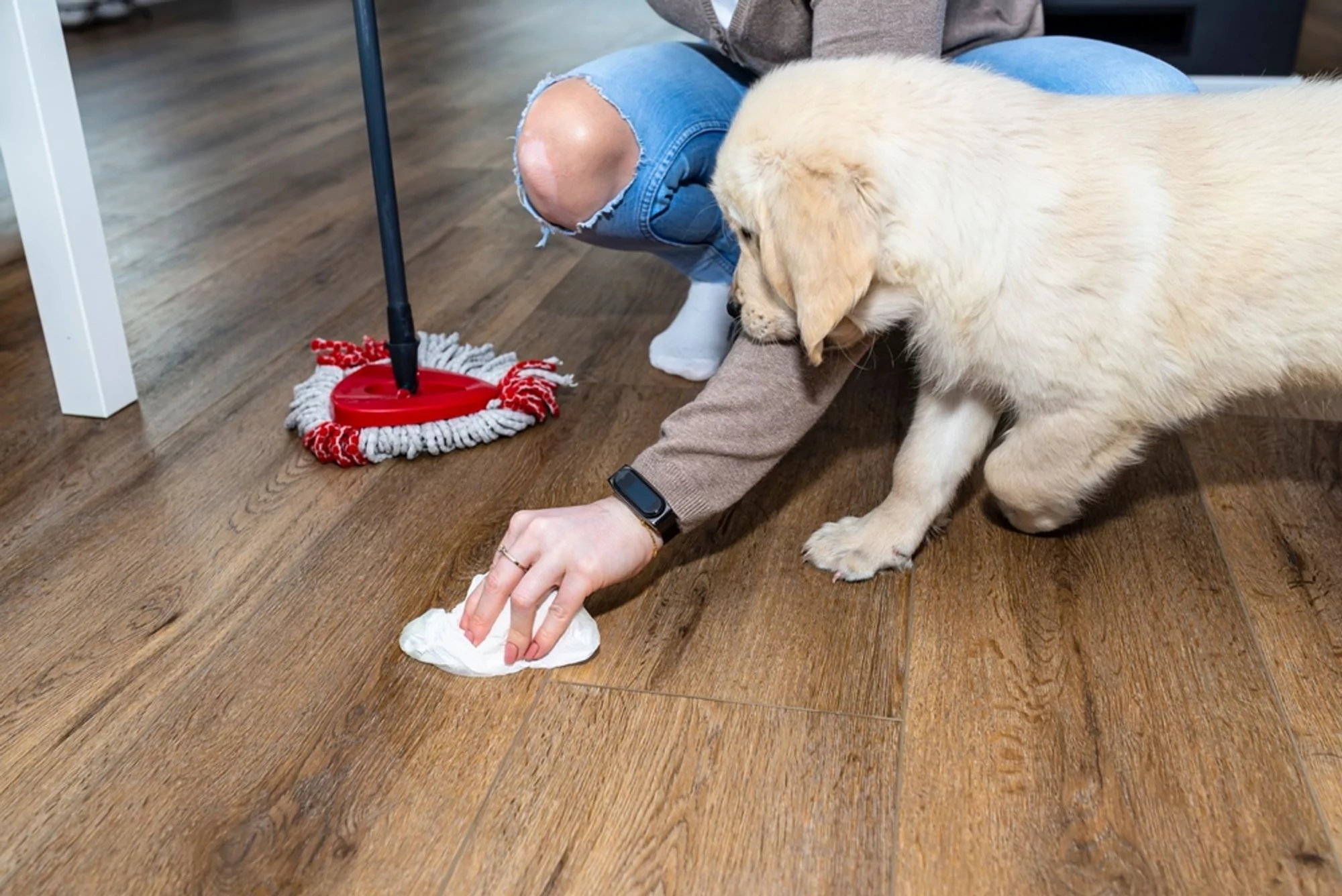 LVT Flooring Damage